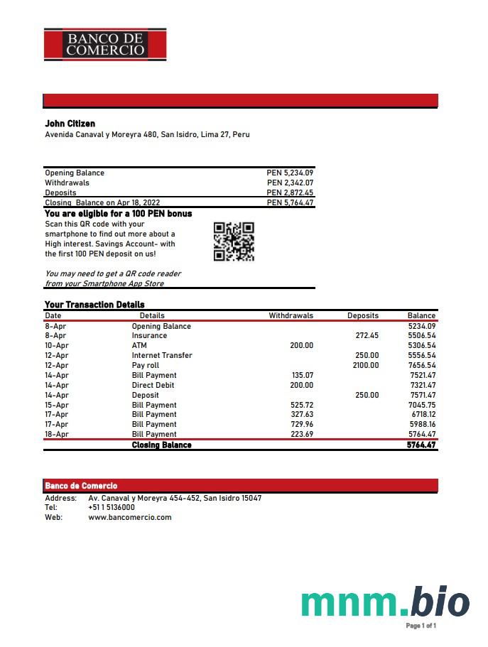 Paragwaj Vision Banco szablon w formacie excel pdf